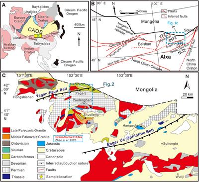 Late Paleozoic tectonics of Southern Central Asian orogenic belt: Evidence from magmatic rocks in the northern Alxa, Northwest China